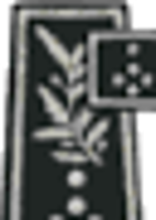 Insigne de Directeur général de la Police nationale